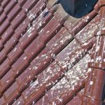 Local Roofing Contractors in Springfield: Strong Roofs, Strong Protection