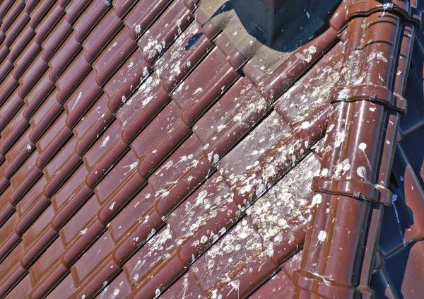 Local Roofing Contractors in Springfield: Strong Roofs, Strong Protection