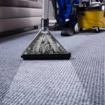 Freshen Up Your Space with Professional Carpet Cleaning in Tacoma