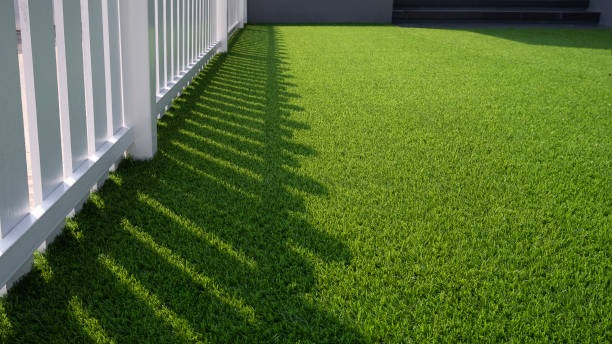 Artificial Grass Chandler Experts Apex Turf Installation Tips